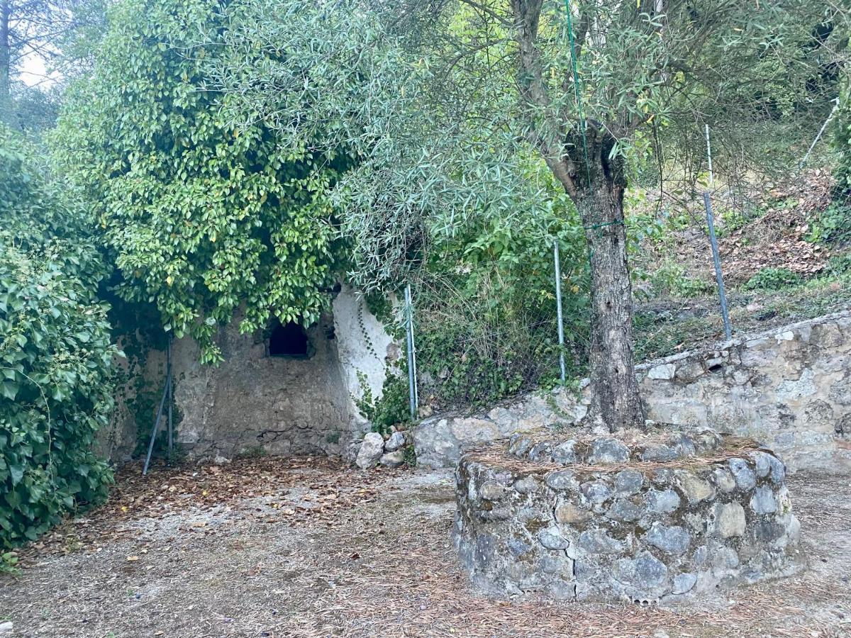 Stay Wild En Las Casitas De Huerta Arriba Benamahoma Extérieur photo